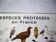 Affiche espèces protégées en France