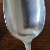 10 silver plated table spoons