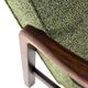 Knicos Armchair in Wengé with Green Upholstery | very rare dutch design