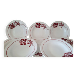 Hollow plates saint Amandoise