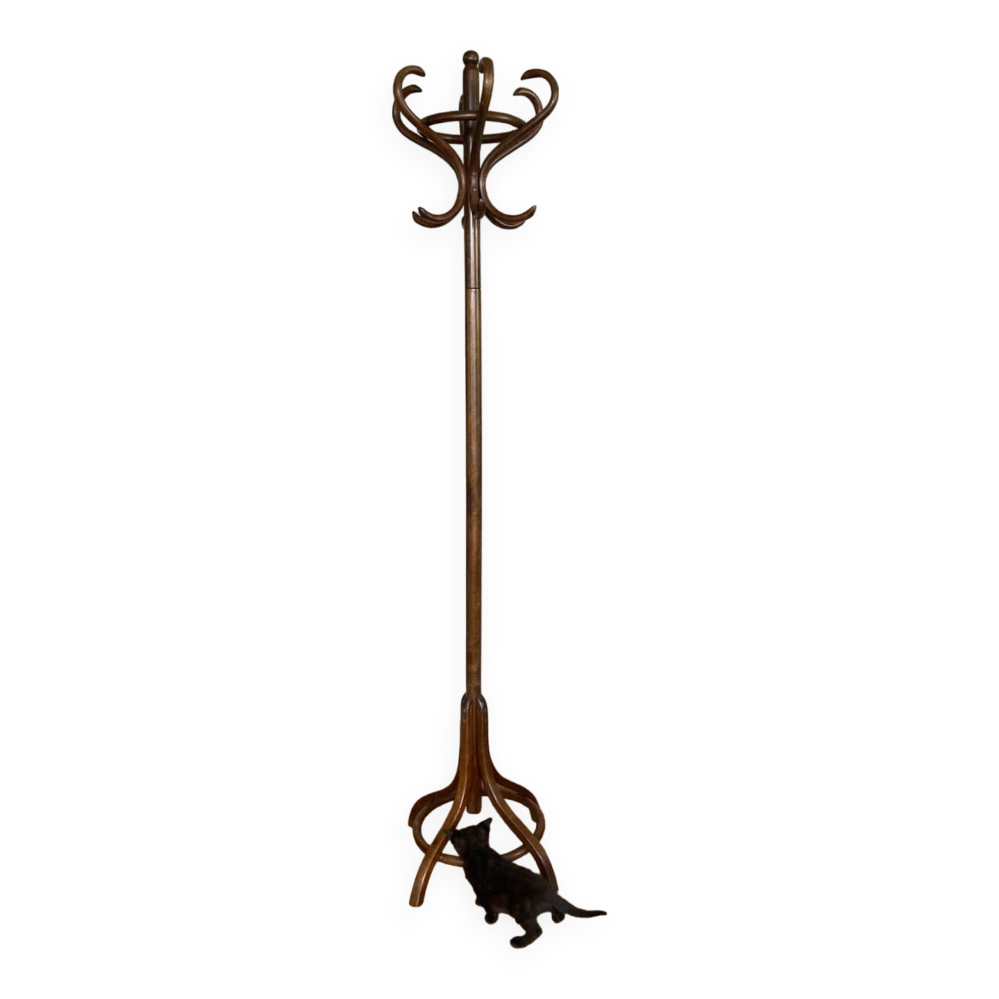 Perroquet coat rack from the mid-20th century (deliverable)