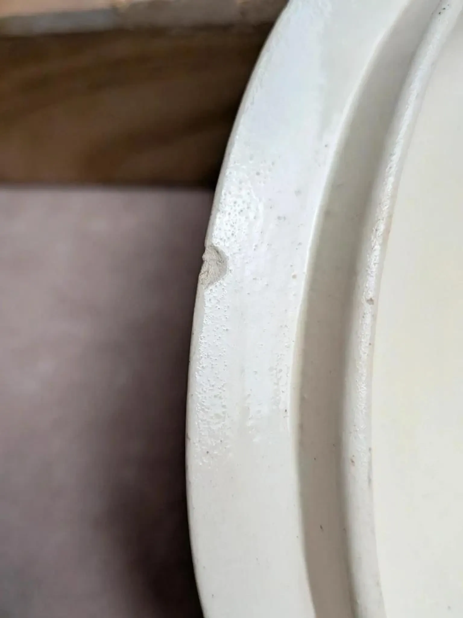 Antique sauce boat in ironstone from Salins – Sepia dragonfly decoration – With lid