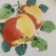 Porcelain plates