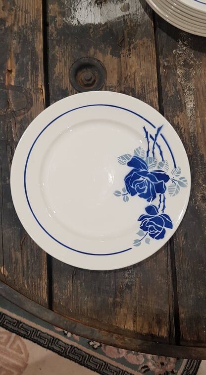 Lot 10 plates Badonviller models Roses