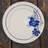 Lot 10 plates Badonviller models Roses