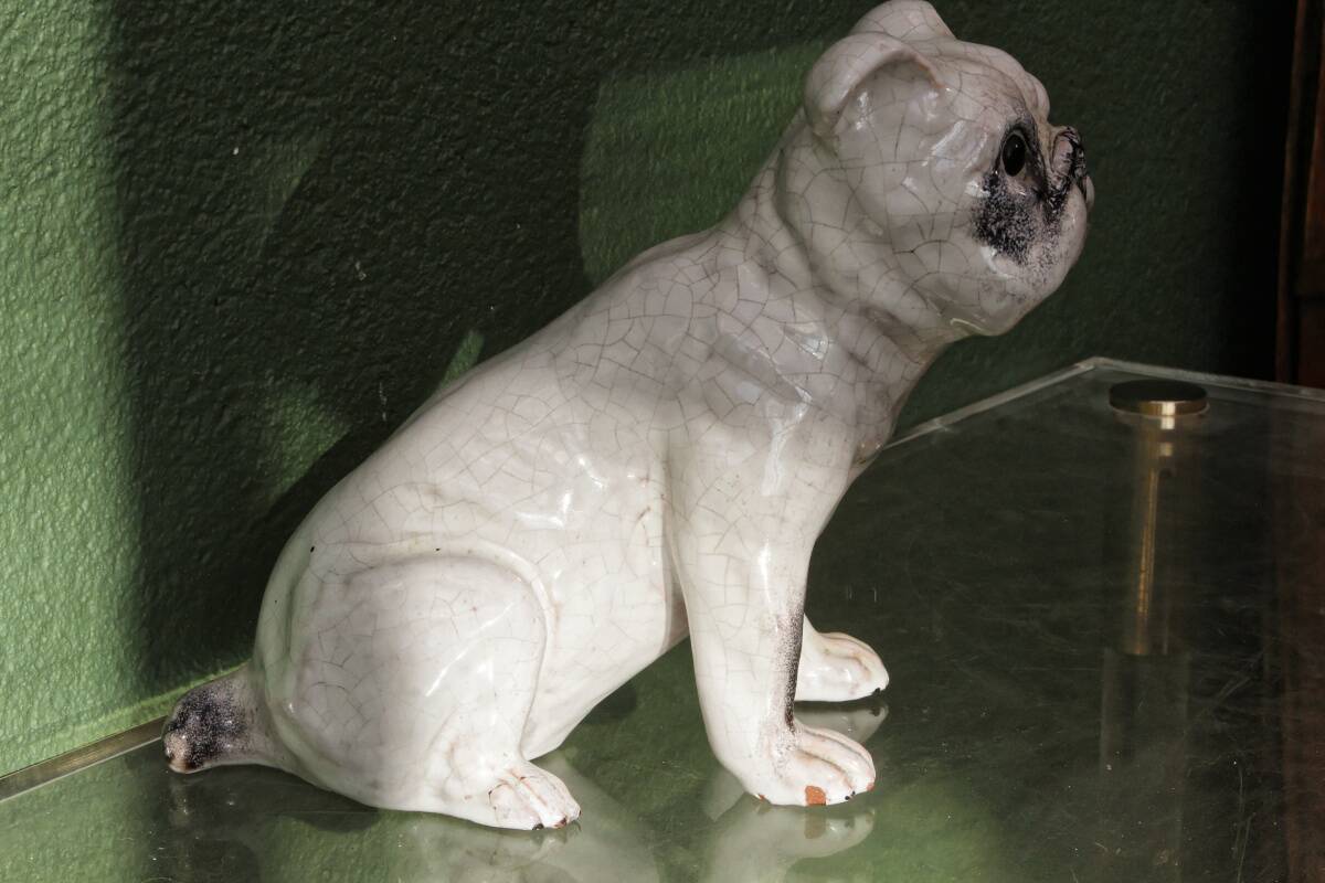 Chien, bouledogue, en terre cuite de Bavent