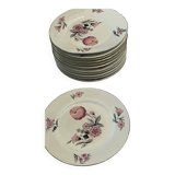 Dishes