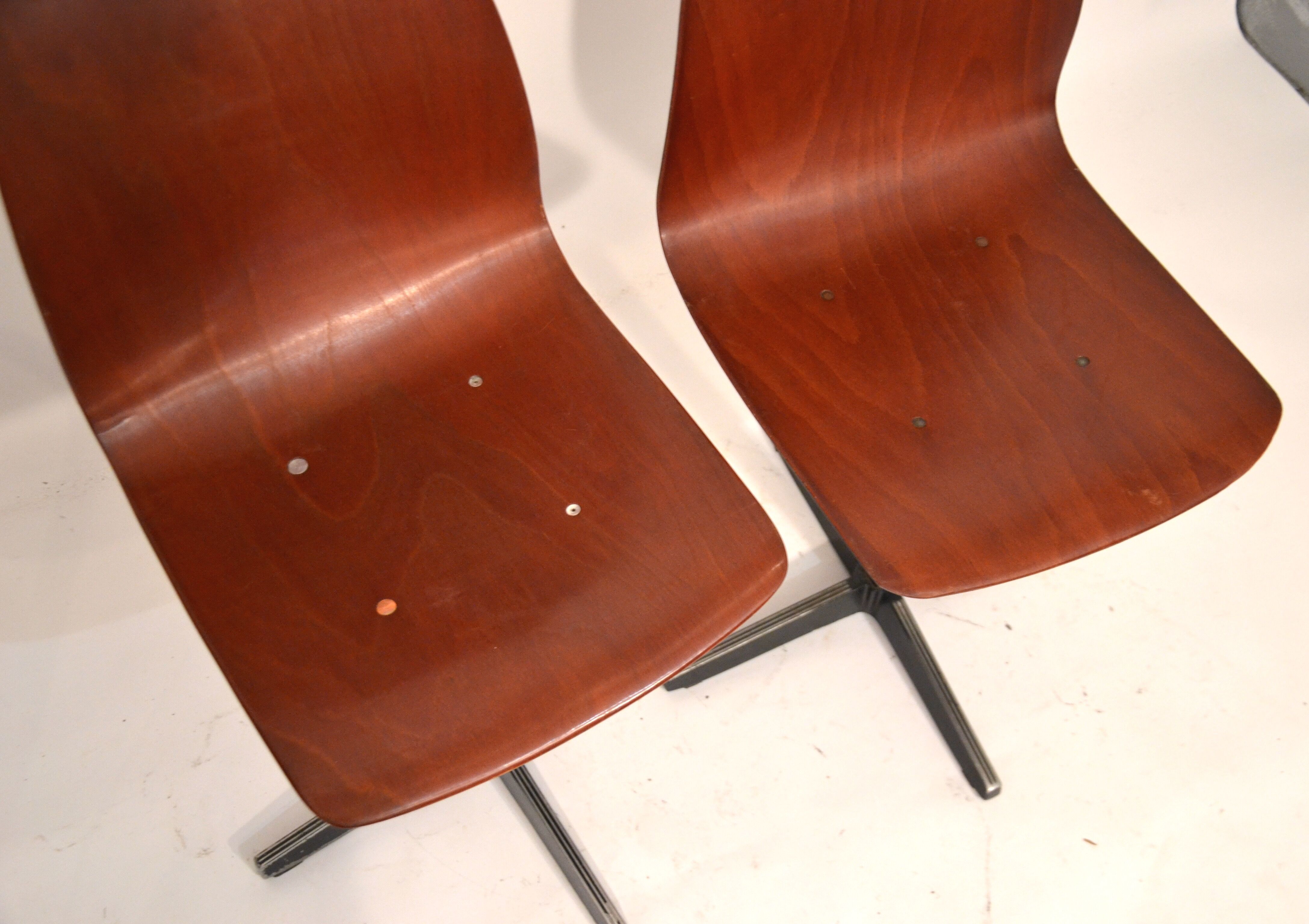 Pair of chairs Pagholz foot star