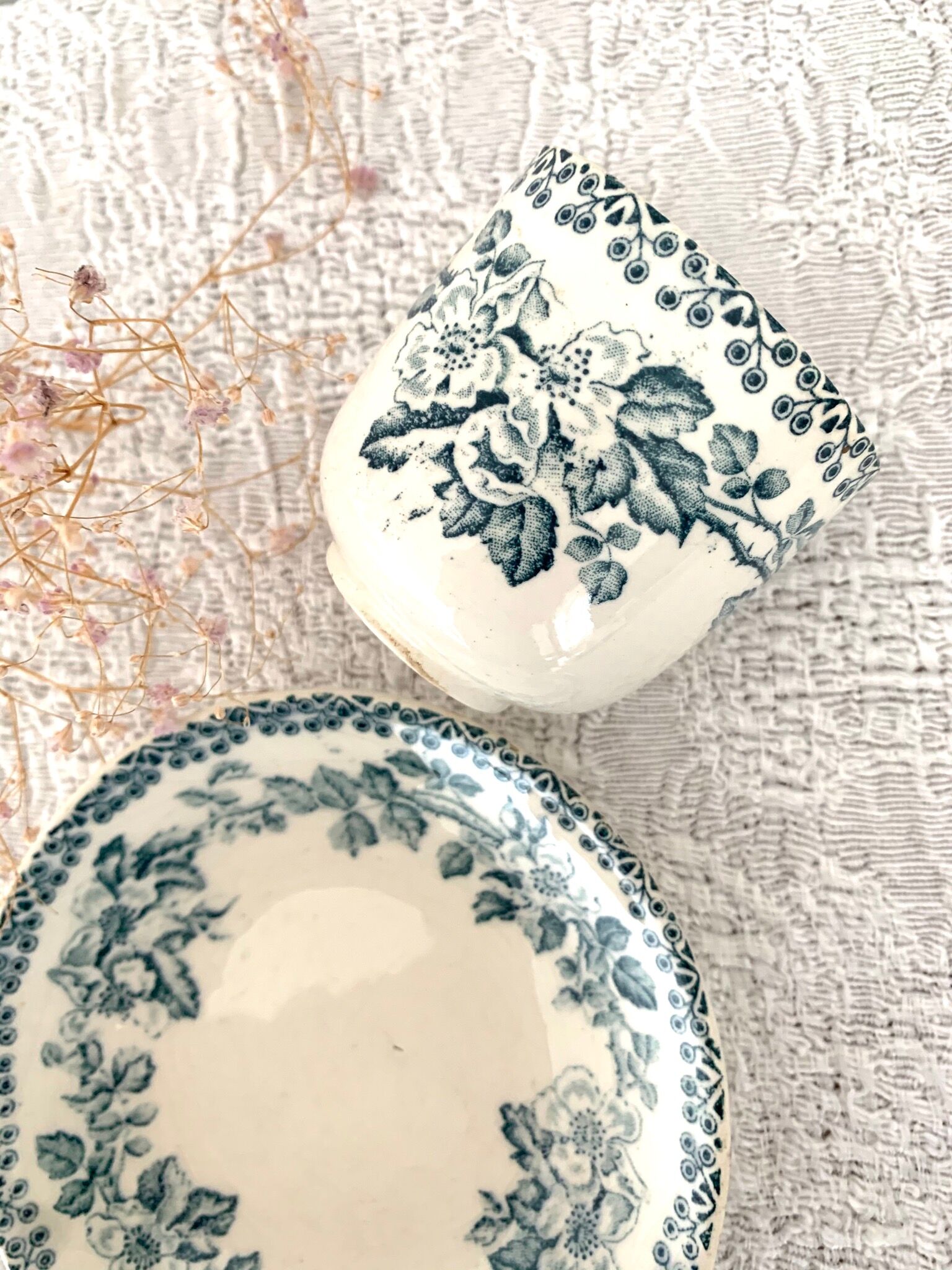 Old cup and saucer