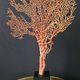 Gorgone Rouge XXL Wooden Base. H: 40 cm | Curiosity Decorative Object