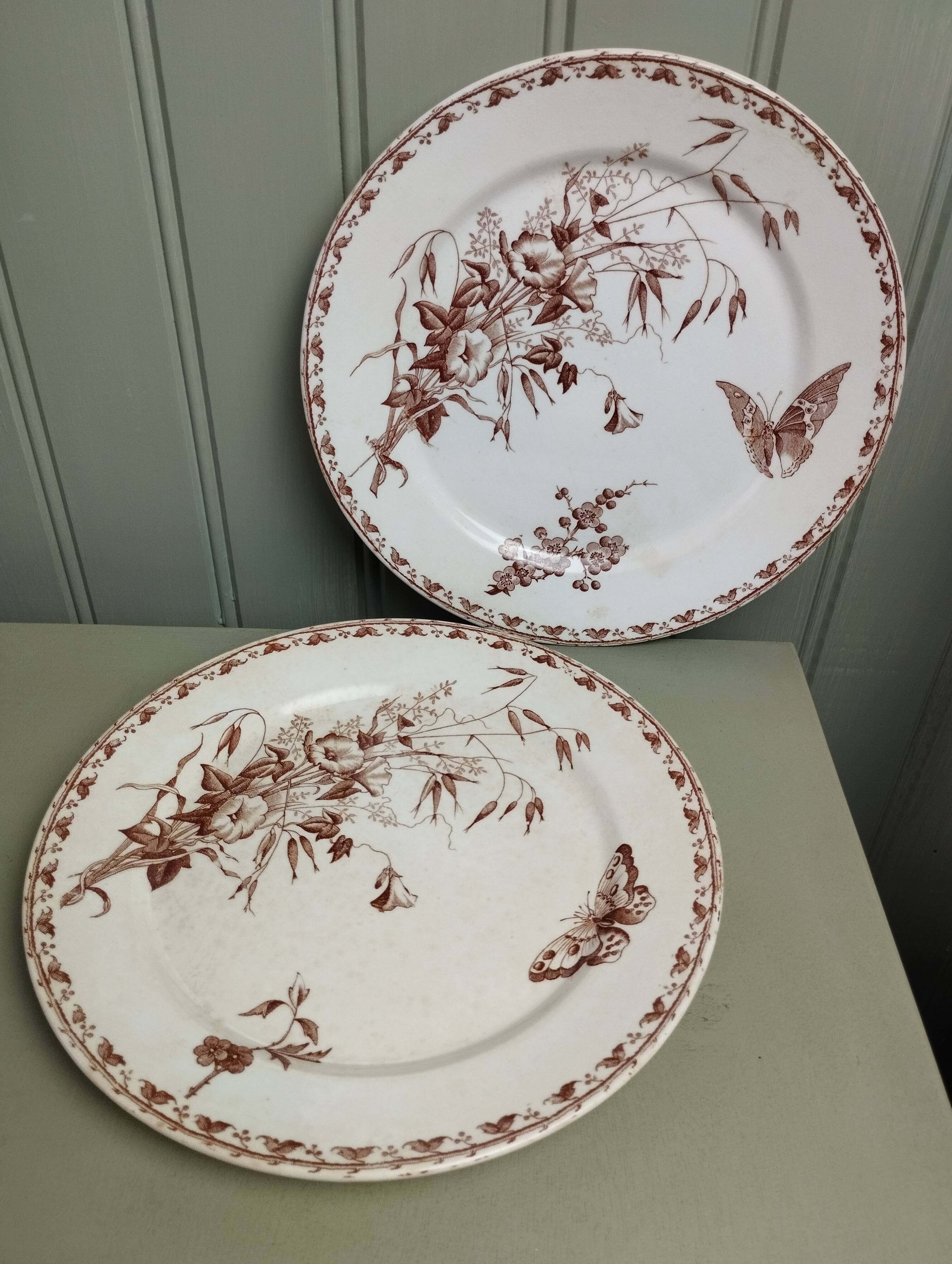 "Carmen" - Set of flat plates Ø 22.5cm ironstone Sarreguemines U&C