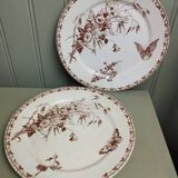 "Carmen" - Set of flat plates Ø 22.5cm ironstone Sarreguemines U&C