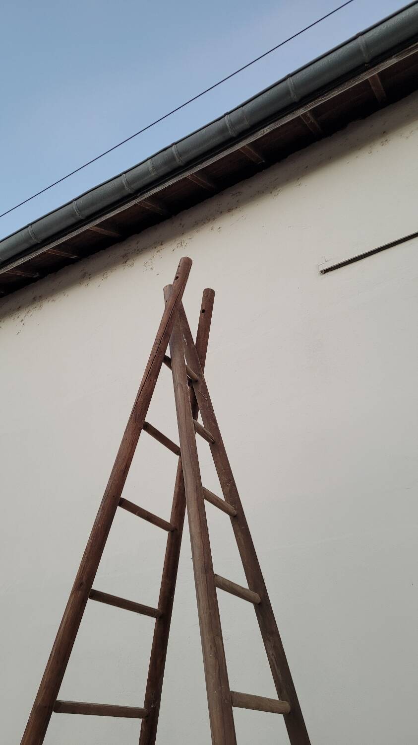 Double ladder for market gardening, fruit harvest, old wooden picking - 3m65