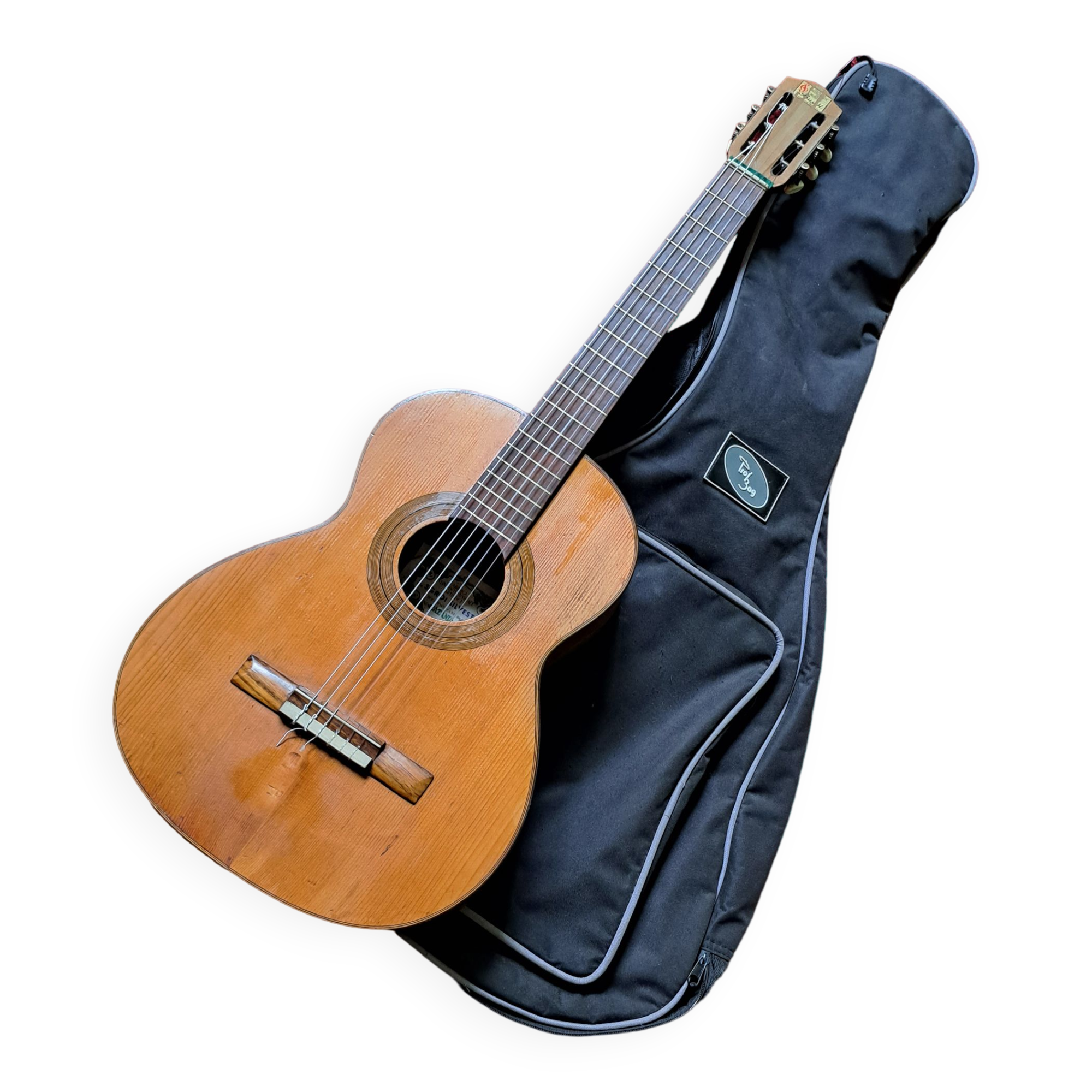 Guitare vintage sicilienne s.groi silvestri 1950s/60s