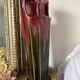 Vase haut art nouveau forme amphore