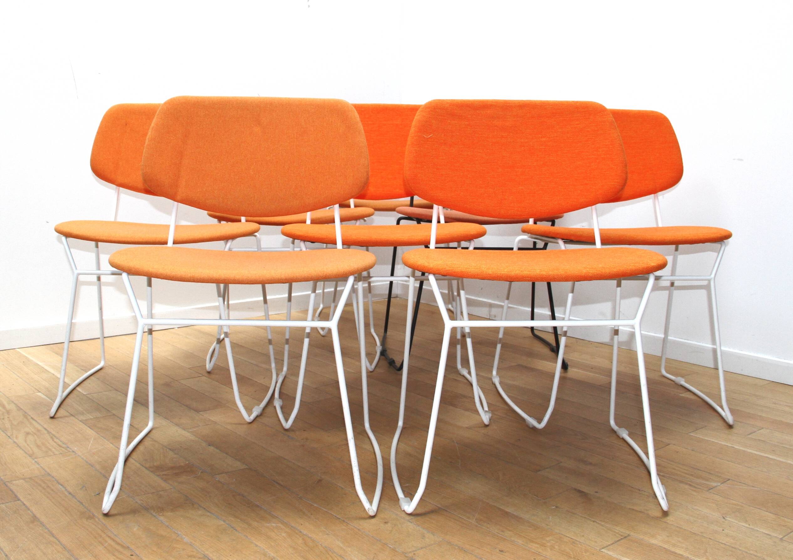 Doll 554 Chair, Billiani