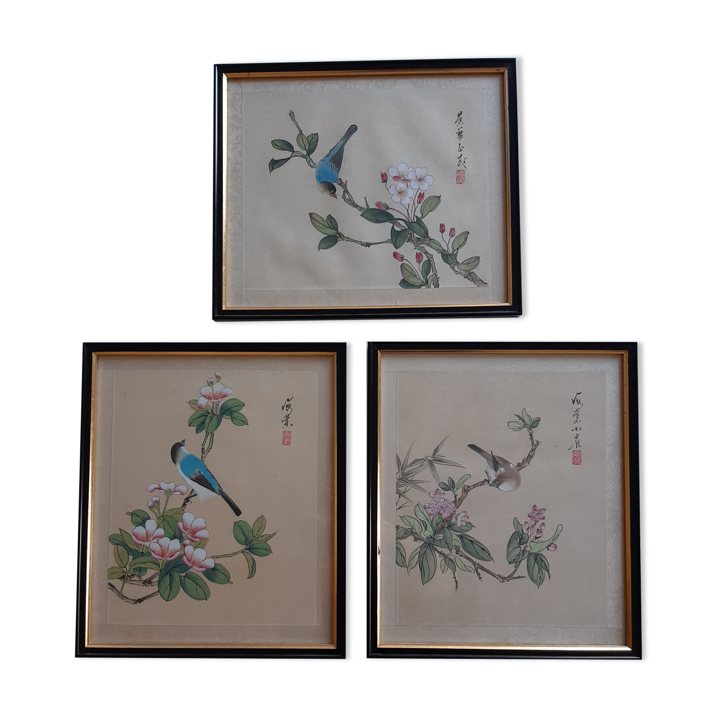 Lot 3 estampes oiseaux