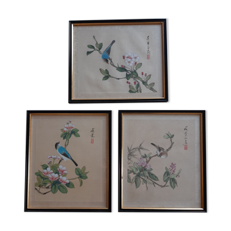 Lot 3 bird prints