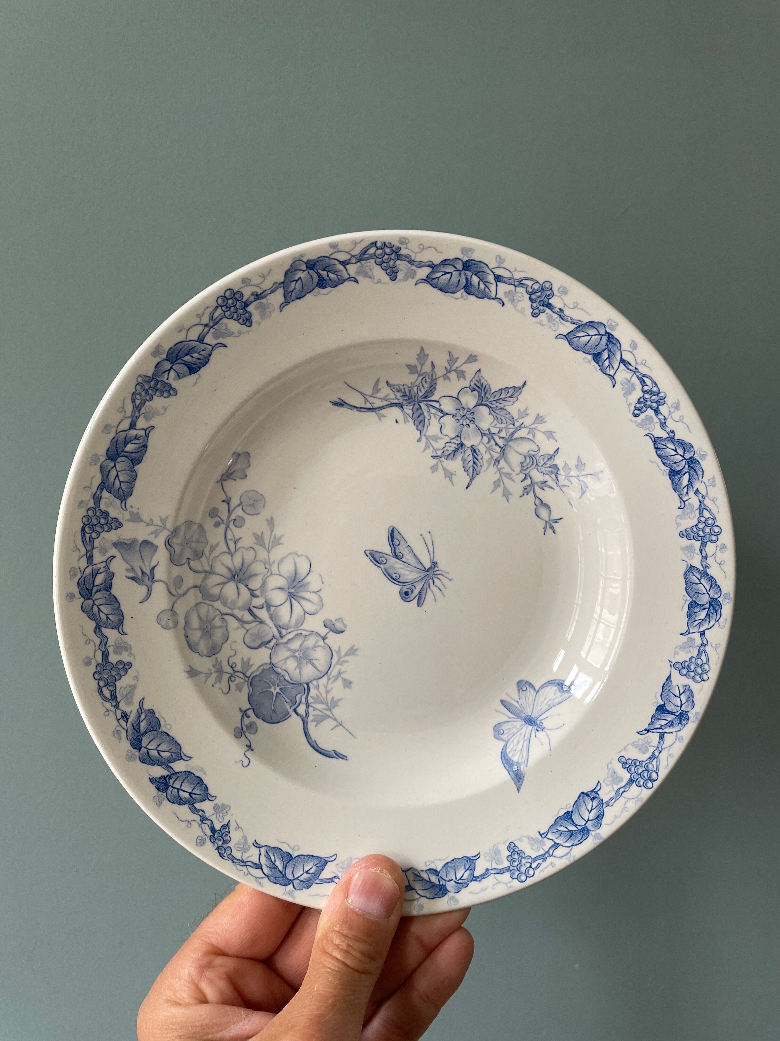 Set of 9 hollow plates 1900 "Butterfly" FF Pexonne