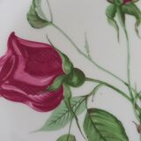 Assiettes plates porcelaine de limoges décor rose candé