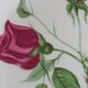 Limoges porcelain flat plates with candé pink decor