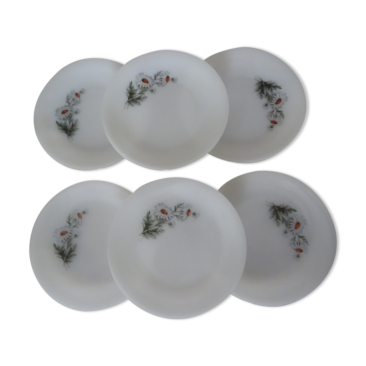 6 plates daisies flowers dessert arcopal 15992