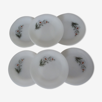 6 assiettes marguerites fleurs dessert Arcopal 15992