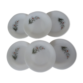 6 plates daisies flowers dessert arcopal 15992
