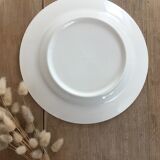 Retro blue pink plates