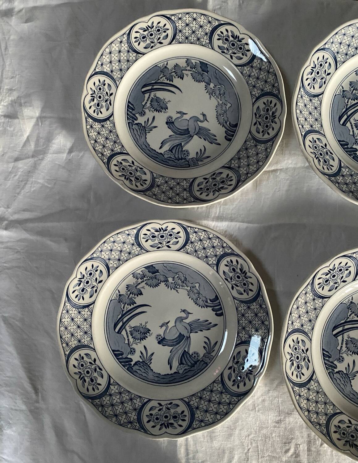 6 large Old Chelsea Furnivals dinner plates