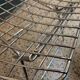Chrome-plated side chairs by Harry Bertoia for Knoll, 1970s, set of 4