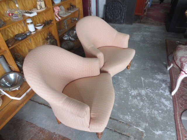 Pair of chairs Toad