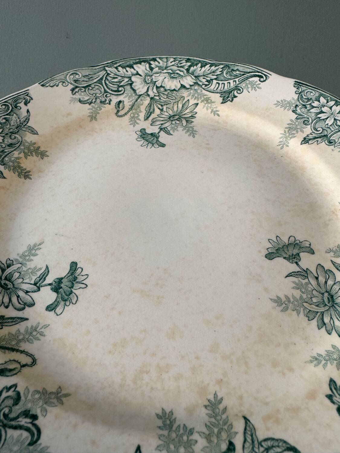 Série de 8 assiettes plates Terre de Fer XIXème, collection Sylvia