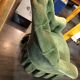 Paire fauteuils crapaud