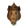 Trophy boar