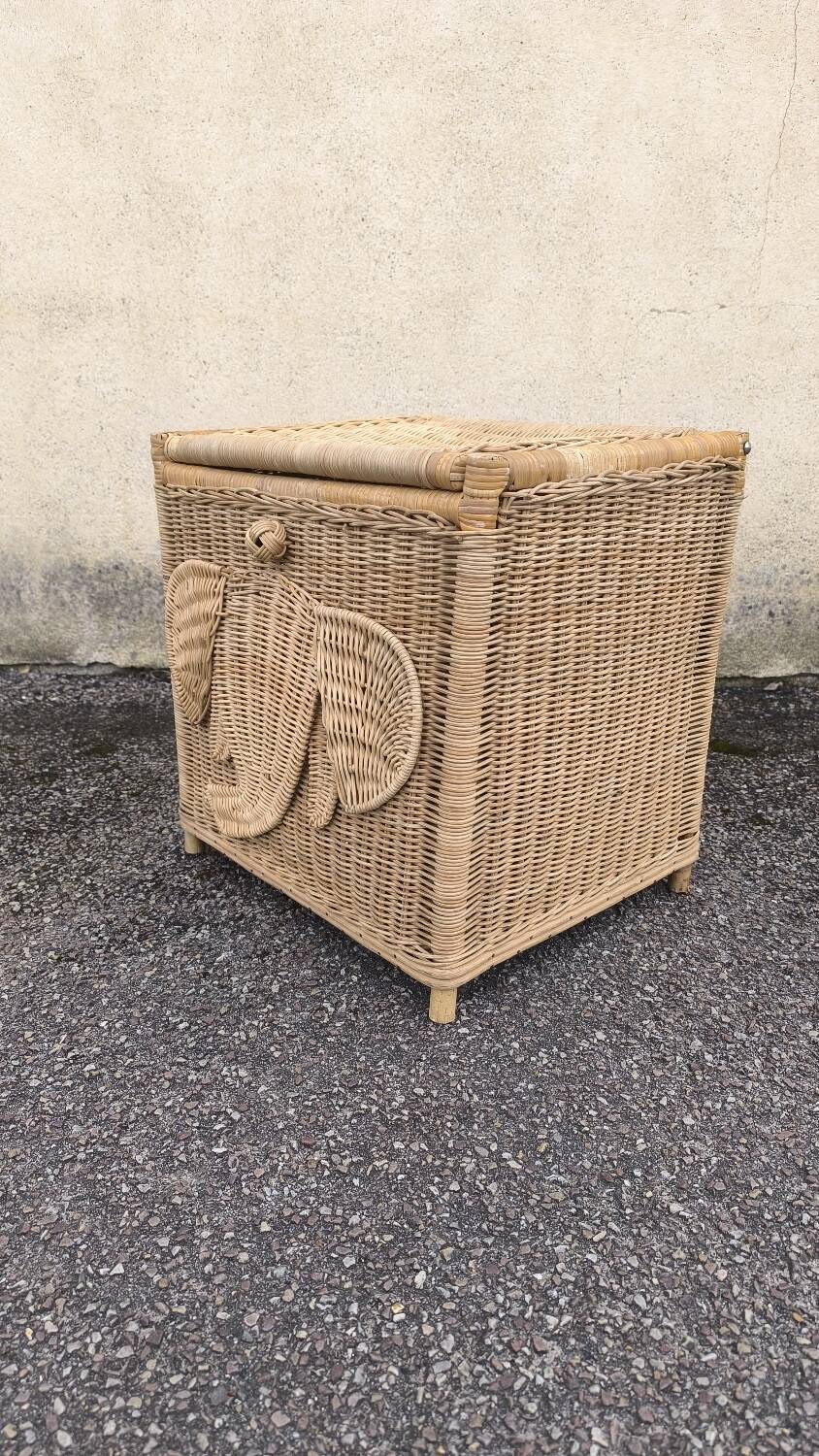 Vintage rattan chest