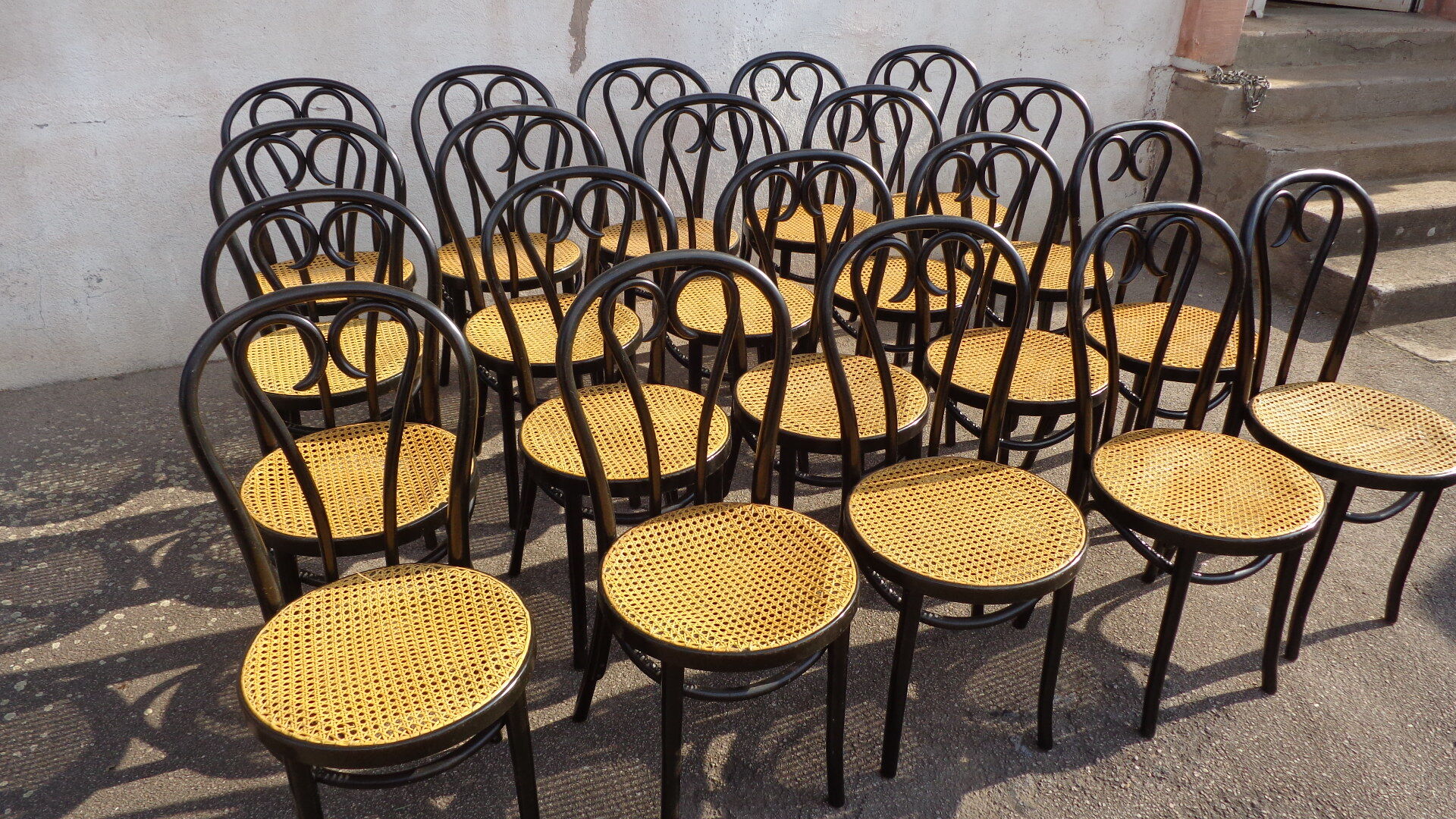 Set of 20 curved wooden chairs