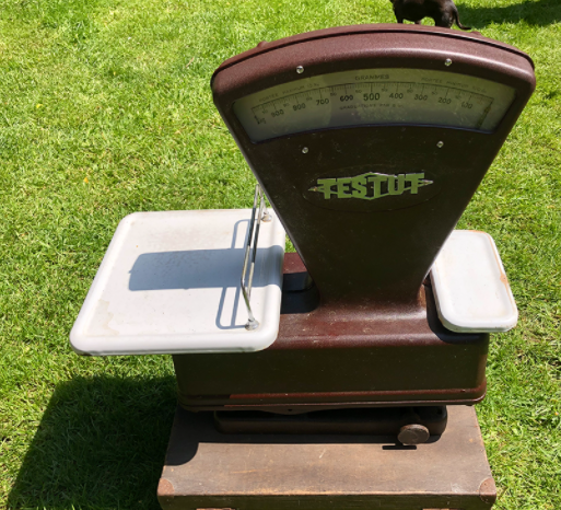 Bakelite Trader's Balance Testut