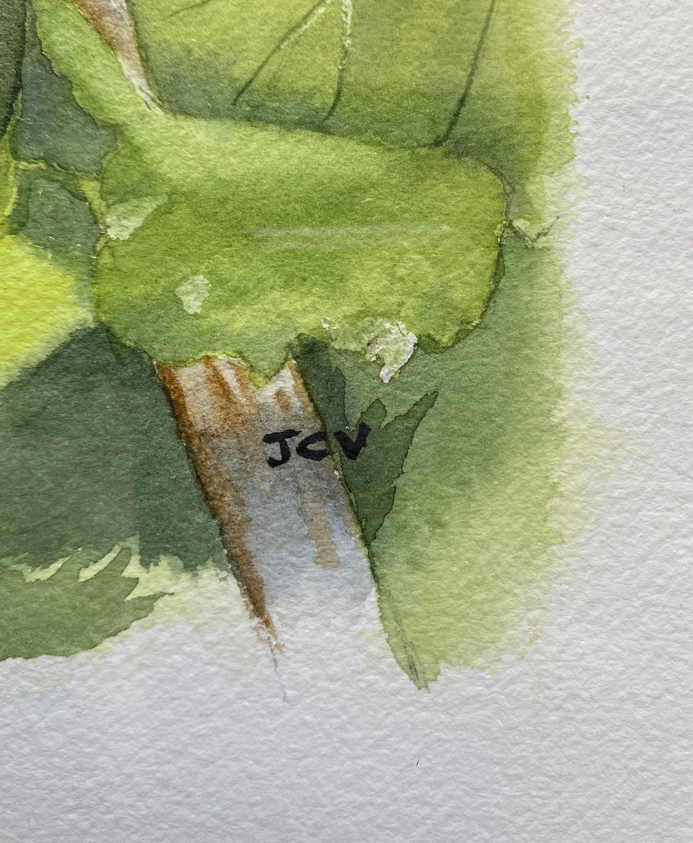 Watercolor painting "Les Cassis" signed J.C.V.