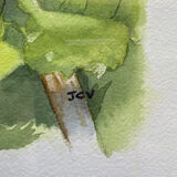 Tableau Aquarelle "Les Cassis" signée J.C.V.