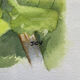 Watercolor painting "Les Cassis" signed J.C.V.