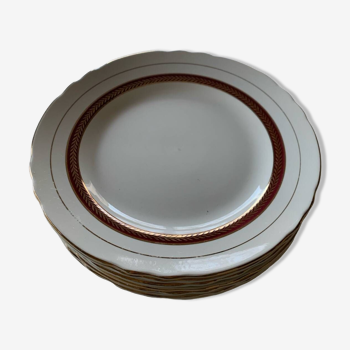 Salins porcelain dinner plates