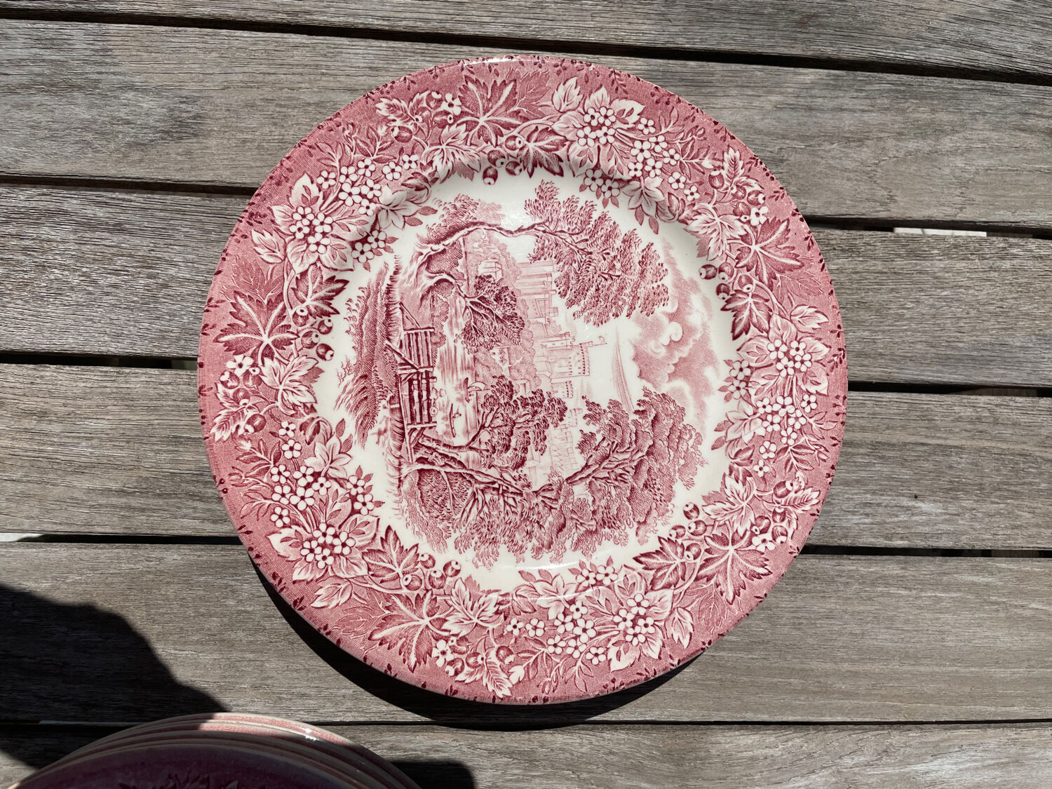 Lot 6 flat plates and 6 hollow English Iron Earth English Ironstone