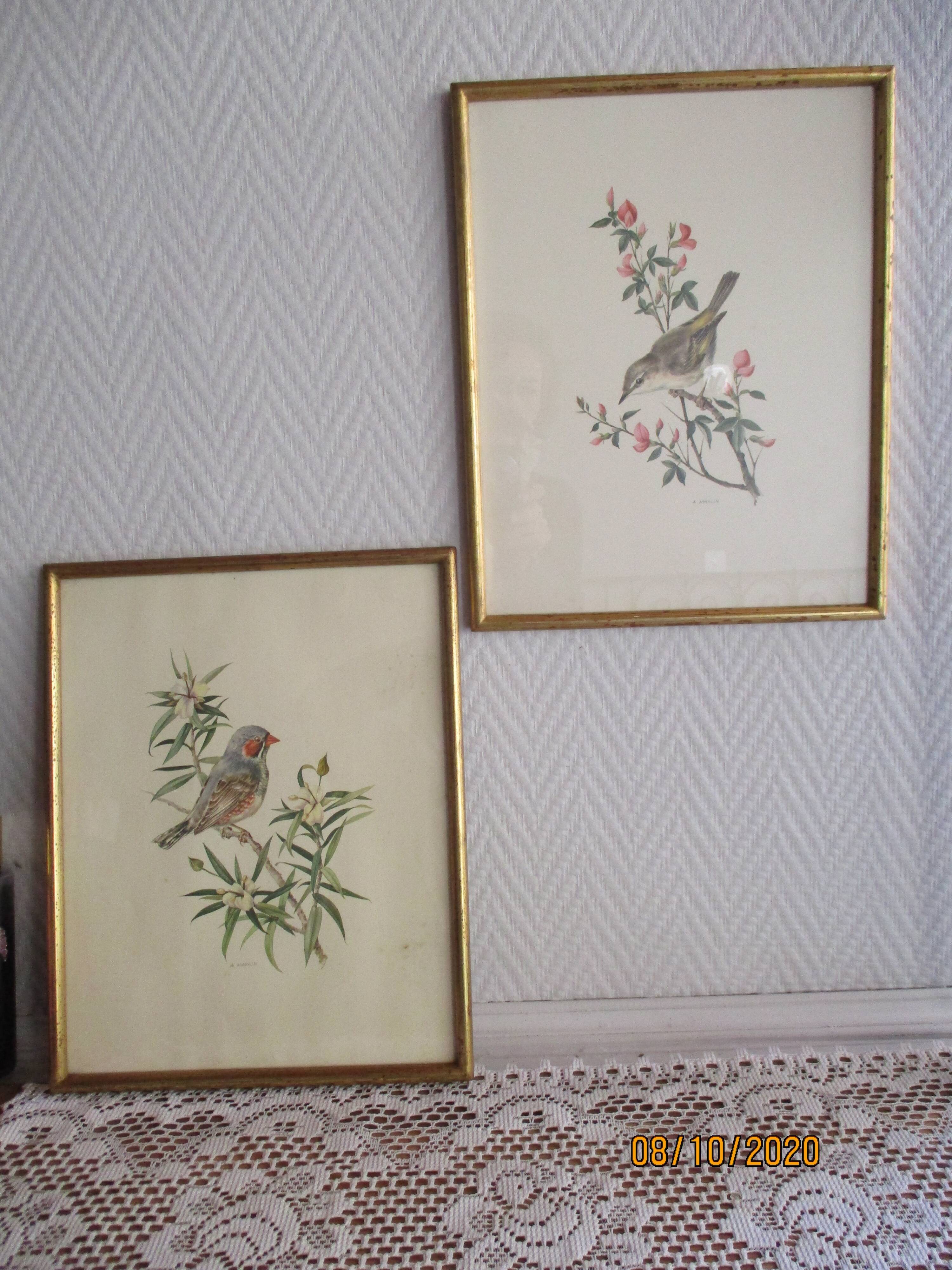Bird lithographs by Marlin 1950