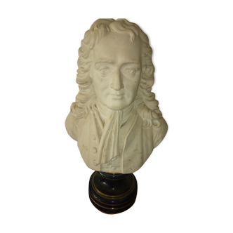 Bust Newton