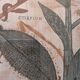 Botanical art print
