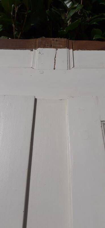 Pair of 19th-century cupboard doors and frame, woodwork