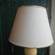 Ostrich egg lamp