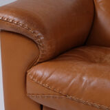 De Sede leather adjustable armchair DS101