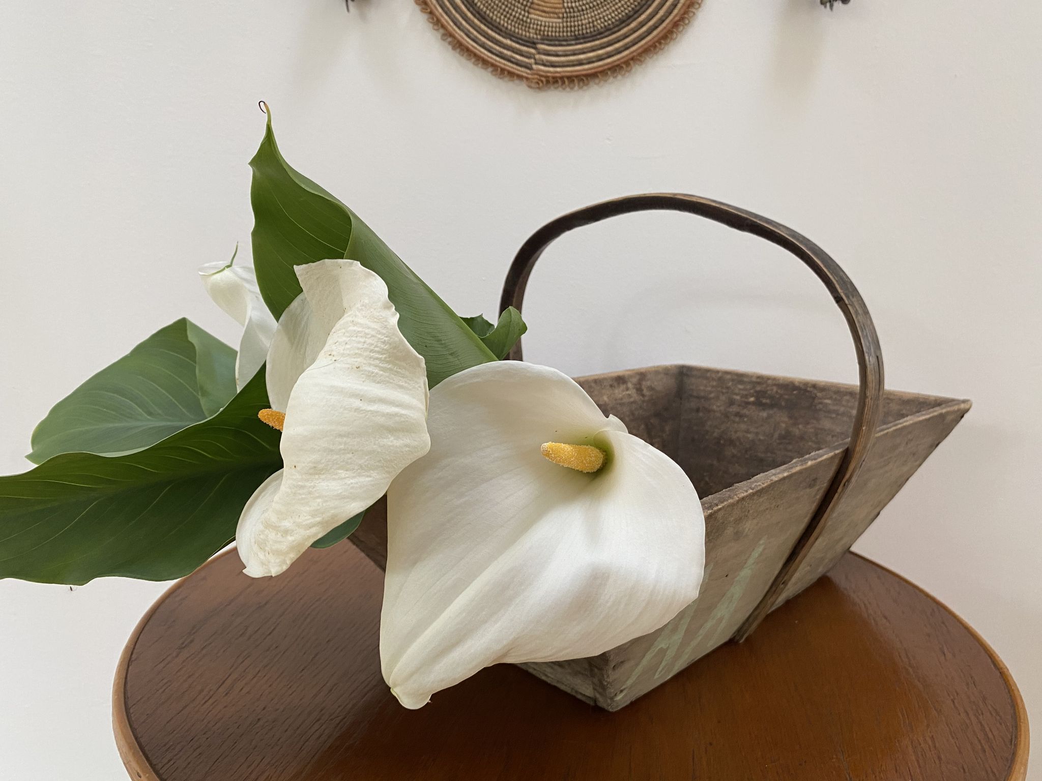 Panier en bois XL baquet de pêche d’Oléron